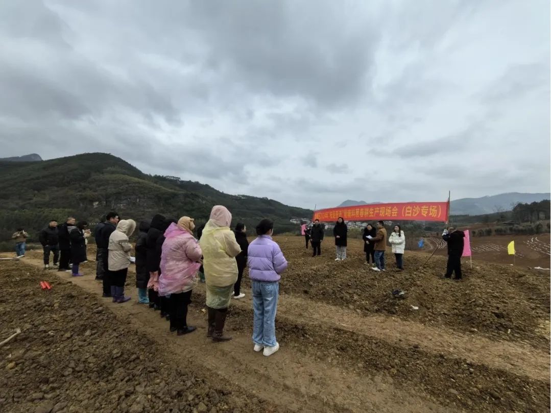 柳州市鱼峰区白沙镇图片