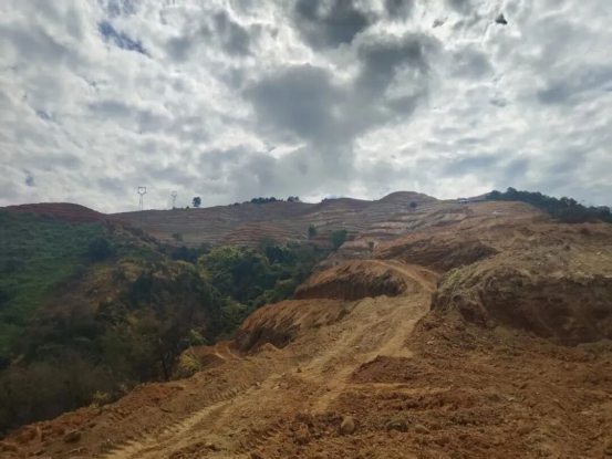 1757919369904019442.png 9项制糖行业标准正式发布2085.png