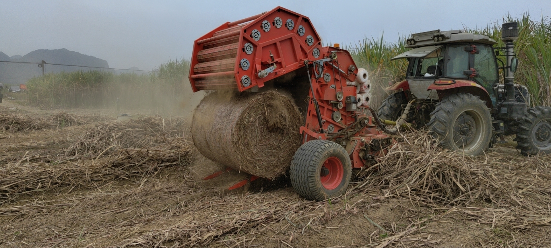 1768805353499081199.jpg 1768805353499081199.jpg